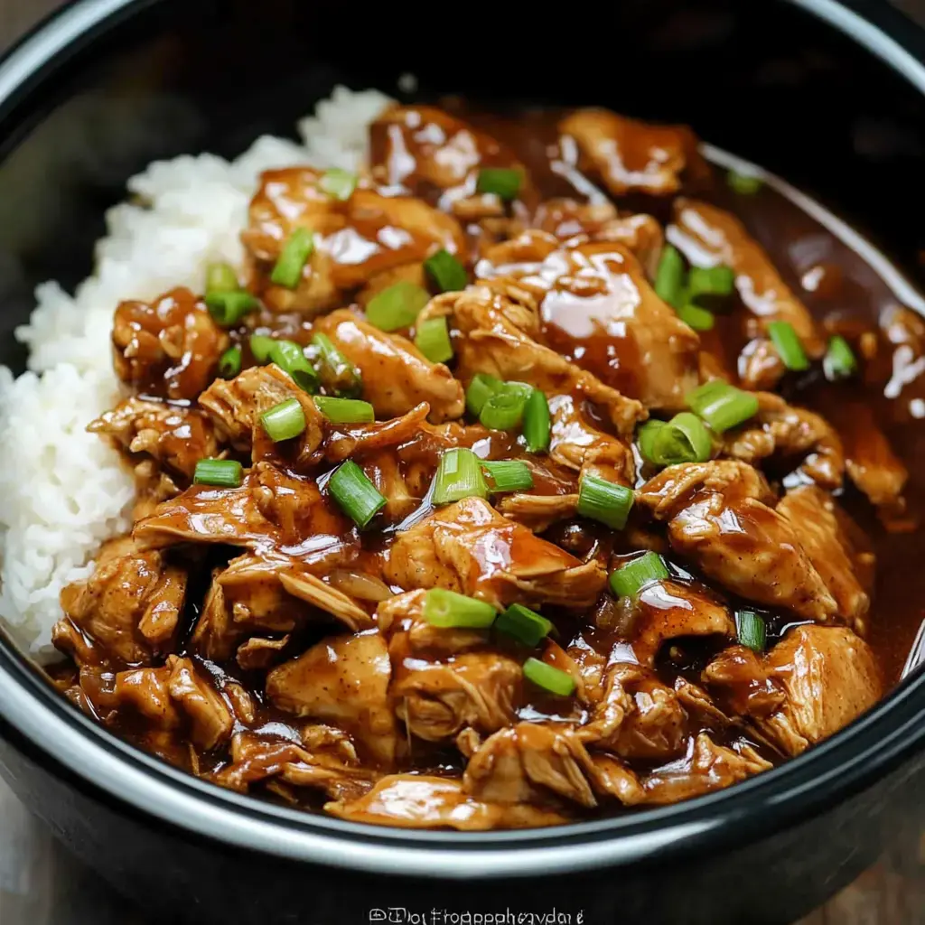 Tender shredded chicken in a rich brown sauce, ladled on white rice and sprinkled with green onions.